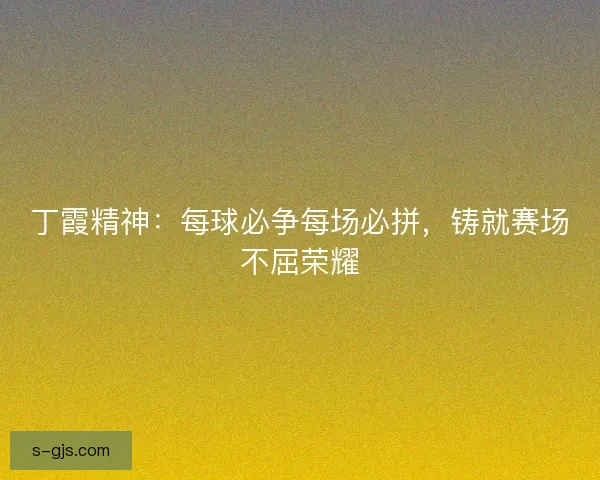 丁霞精神：每球必争每场必拼，铸就赛场不屈荣耀